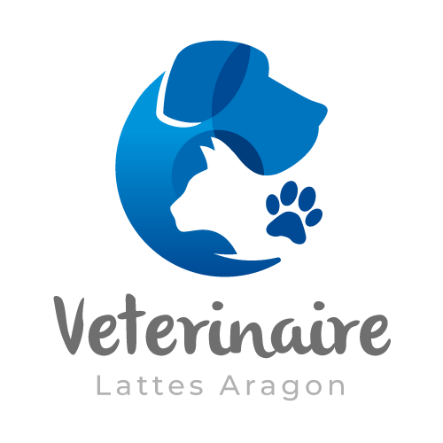 Clinique Vétérinaire Lattes Aragon